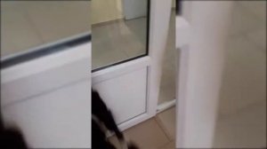 ХОТЕЛИ ПОКАЗАТЬ НАШ ГОРОД НО У СЕСТРЫ ЗАБОЛЕЛ ЖИВОТ.VLOG 1❣