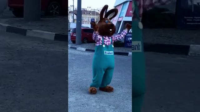 Танцующий заяц "Тех-Сервис" смотреть онлайн