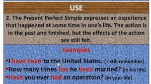 Present Perfect Simple (42)