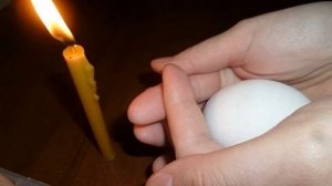 Оплодотворенные яйца – стоит ли за это платить?