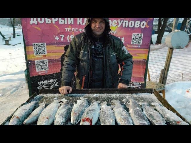 ЗА ФОРЕЛЬЮ В 