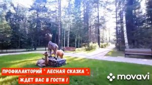 САНАТОРИЙ - ПРОФИЛАКТОРИЙ " ЛЕСНАЯ СКАЗКА " ///