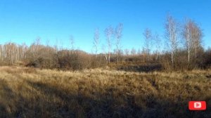 Охота на зайца. Нашли зайца без снега. Удачная охота 2021