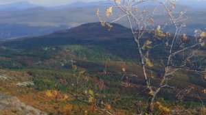 Пеший однодневный поход "Алимовые тропы"