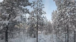 Зимняя рыбалка в Карелии на озере в Кемском районе.