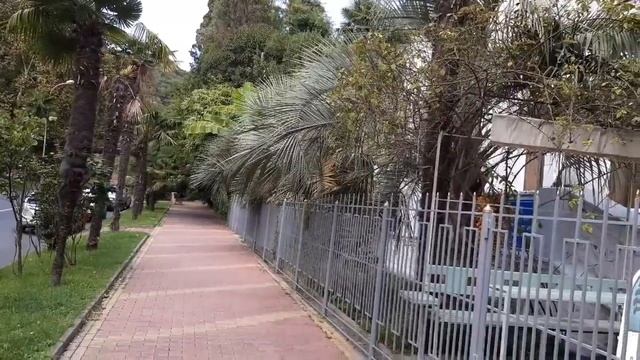 Хоста.Пальма Бутия.ул.50 лет СССР смотреть онлайн