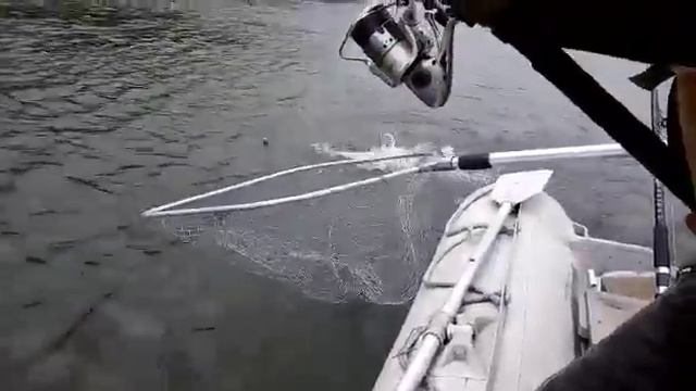 Камчатка ,,рыбалка..mp4 смотреть онлайн