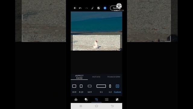 Adobe Photoshop Express смотреть онлайн