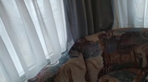 Самый маленький европейский автодом-турист,малыш-крепыш TEC 1999 года 750 кг категория прав B огонё