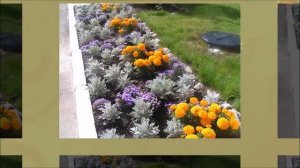 СОЗДАЕМ КРАСОТУ.  РАБАТКА .