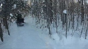 Покатушки на снегоходах тайга, динго, капитан, мотоснегокат gs-212, тикси, рысь.