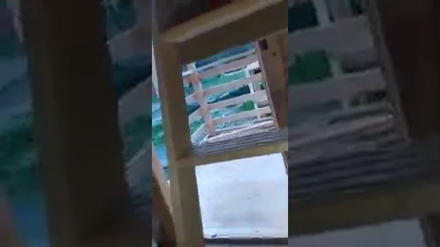 Отзыв клиента о компании "Брус бани"