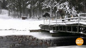 Зима... Красота-то какая! Доброе утро. Суббота. Фрагмент выпуска от 02.12.2023