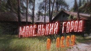 МАЛЕНЬКАЯ ПРИПЯТЬ В ЛЕСУ_ ЗАБРОШЕННЫЙ ПИОНЕРСКИЙ ЛАГЕРЬ