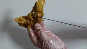 Кости мозгового черепа: лобная, теменная, затылочная и клиновидная