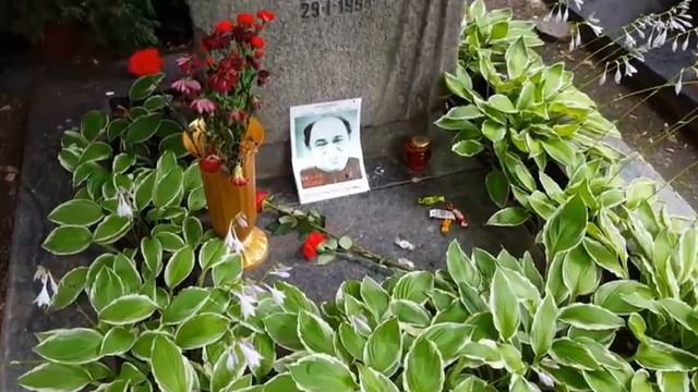 НОВОДЕВИЧЬЕ КЛАДБИЩЕ С РОМОЙ И АЛЕКСЕЕМ