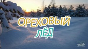 Зима в Орехово 1