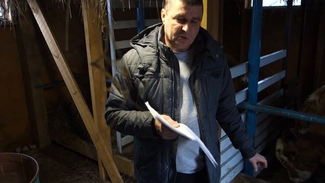 Прибыль от Шести Бычков за 1,5 года смотреть онлайн