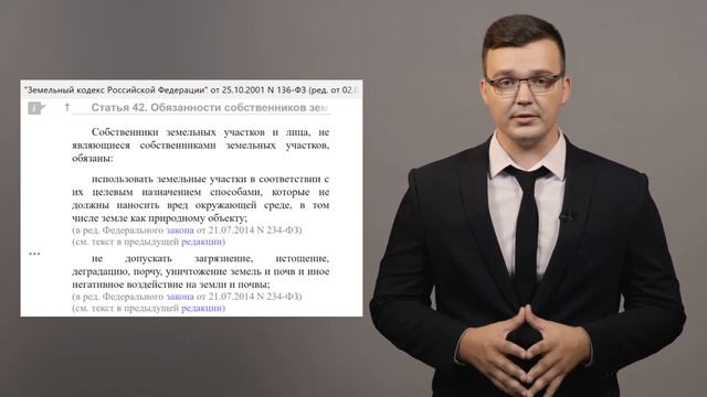 АМБРОЗИЯ НА ПРИДОМОВОМ УЧАСТКЕ смотреть онлайн