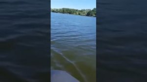 МОТОР ЛОДОЧНЫЙ МЕРКУРИЙ 9.9 ЛАЙТ+ПВХ ТАЙМЕНЬ NX 3600 НДНД.2 ЭТАП ОБКАТКИ НА ВОДЕ...