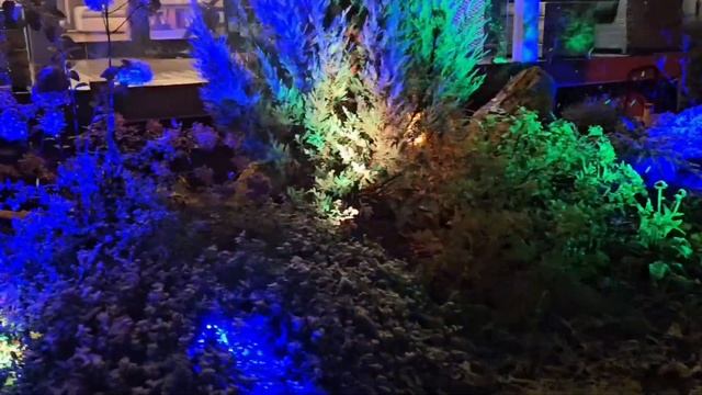 Зимняя подсветка сада - отличная альтернатива новогодней праздничной подсветке вашего дома! ? ❄️