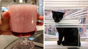 Хватит это терпеть! (3 серия)