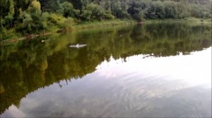 Рыбалка ''корабликом'' голавля