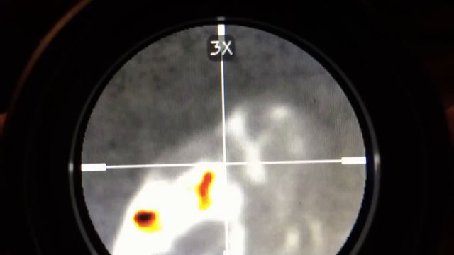 Leupold LTO Tracker | Review смотреть онлайн