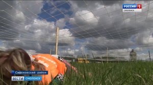 Смоленские медики отдохнули на традиционном турслете