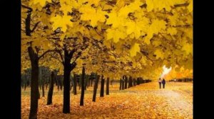 Осенний романс - Юз Алешковский