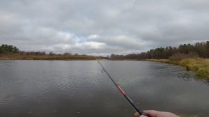 Champion Rods Team Dubna Generation 2 сравнение чувствительности спиннингов с тестом 5-21g и 7-28