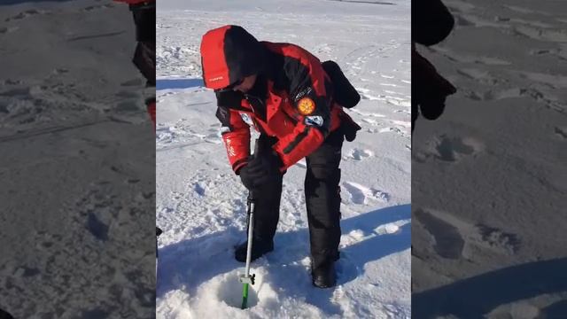 Очень лёгкое бурение льда. Ножи Скат на самом бюджетном Тонаровском ледобуре Helios. смотреть онлайн