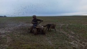 Квадрик 110 грязь 2018