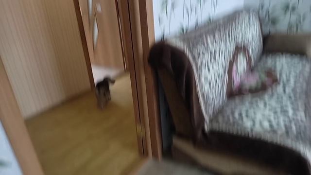 Изготовление двери своими руками. Реставрирует старую дверь.