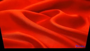 Проект Красная Книга Окружающий Мир