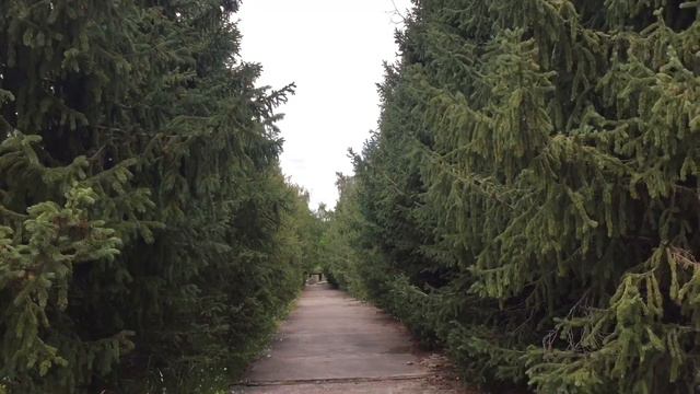 «АВРОРА»-Санаторий «ОБЗОР» Иссык-Куль 2019г смотреть онлайн