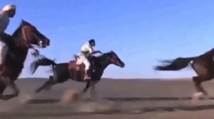 Арабские скакуны