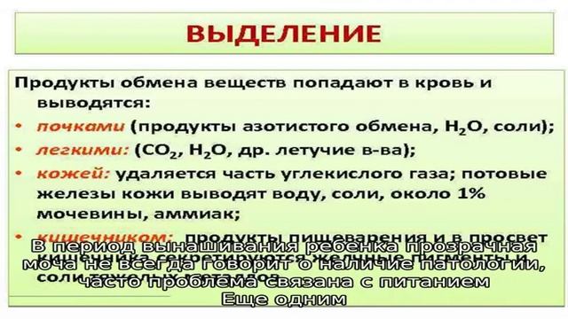 Бесцветная моча (прозрачная как вода) смотреть онлайн