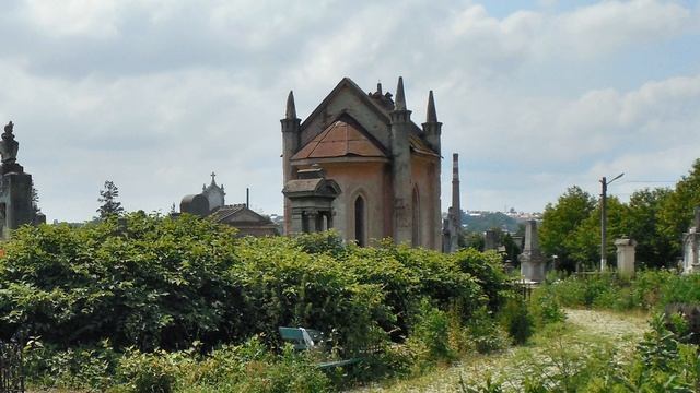 Забытое кладбище в Черновцах смотреть онлайн