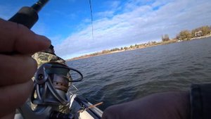 ВОТ ЭТО ПОКЛЁВКИ! РЫБАЛКА В КАЛАЧЕ на ДОНУ! Рыбалка с лодки!