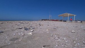 Штормовое Крым.Что ТВОРИТСЯ на пляже и в посёлке. Большой выпуск.