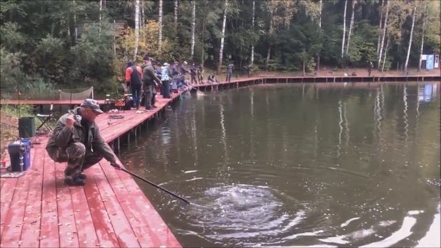 Поимки форели на спиннинг. Рыбалка на Спорт-зоне. Клёвое место Лосиный остров. смотреть онлайн