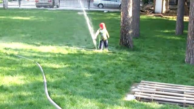 Новосибирский зоопарк 1 сентября 2007г 23 смотреть онлайн