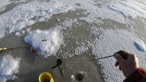 Маропедка 40 мм  48 мм 120 градусов. Зимняя блесна купить.