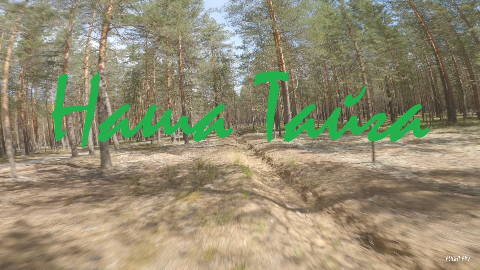 Наша Тайга смотреть онлайн