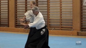 Aikido: Bruno GONZALEZ - Working with Kirigaeshi movements