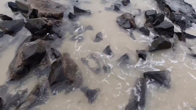 Creatures in the crevices of the stones are soft to the touch, reach out to test, big octopus смотреть онлайн