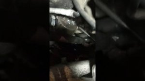 Установка подогревателя Атлант+ на vw t5