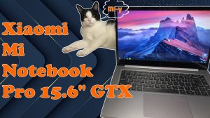 Обзор с котиком - Xiaomi Mi Notebook Pro 15.6" GTX 1050 Max-Q