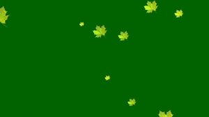 Green Screen Falling Leaves, Maple Background - Хромакей Осень Листья Клена Падают